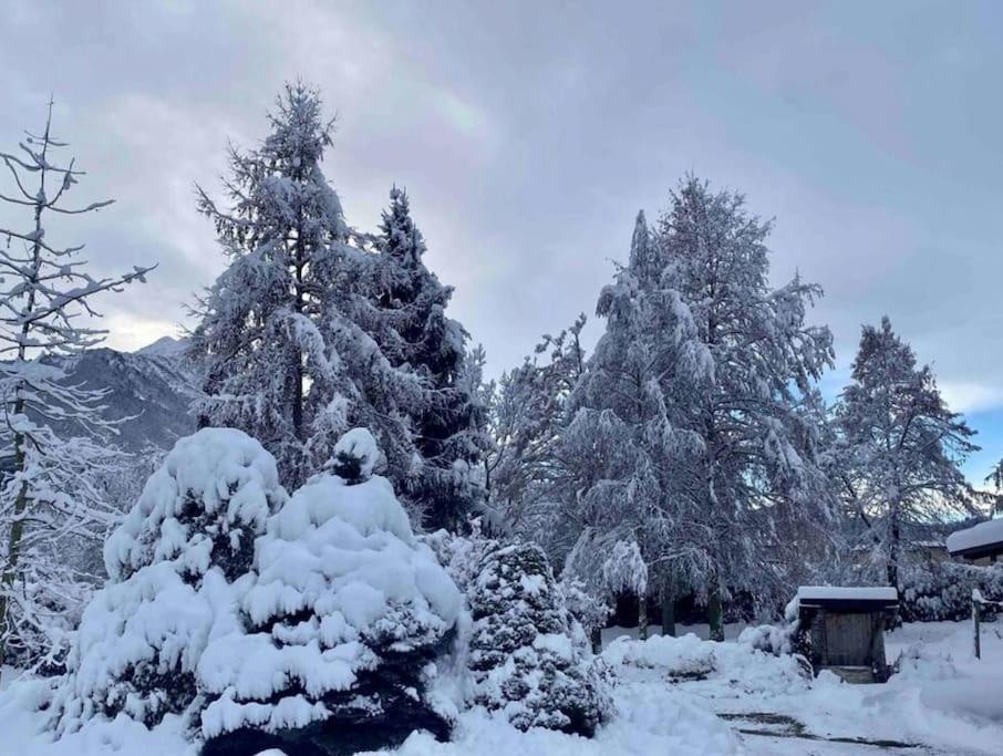 Villa Giulia - Argentera Peveragno Exteriér fotografie